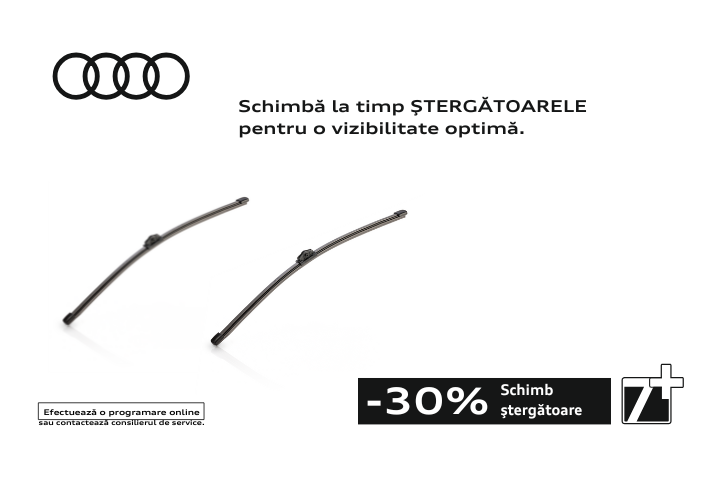 schimb stergatoare audi